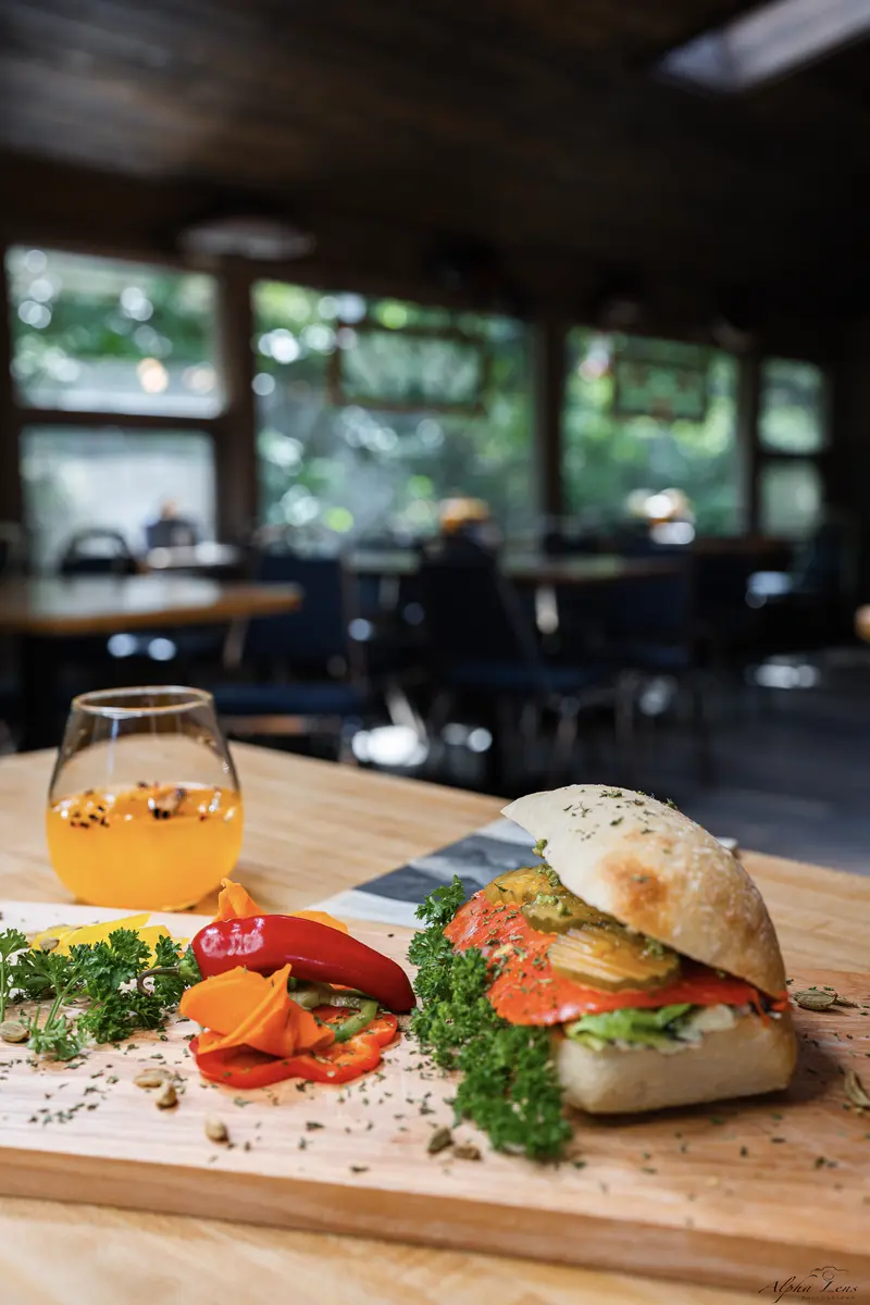 Alaska smoked salmon sandwich