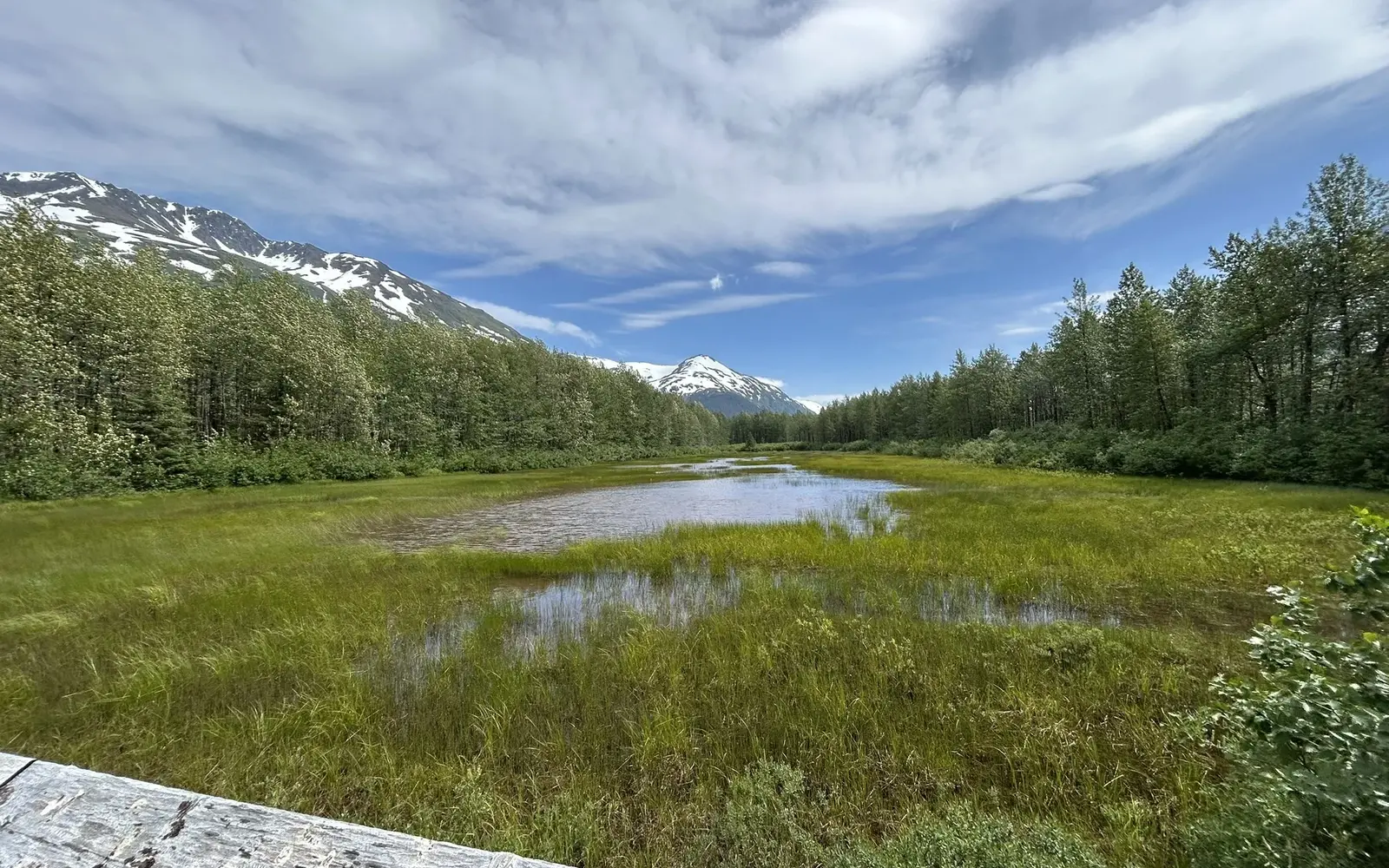 Wetland and mountain view from Moose Flats Trail