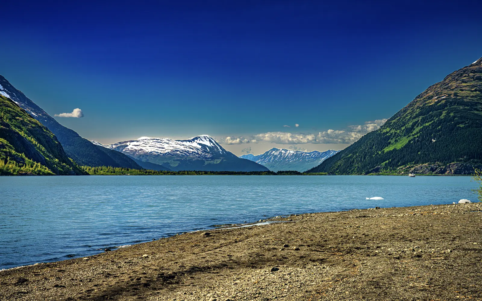 Portage Lake viewed from Portage Pass Trail