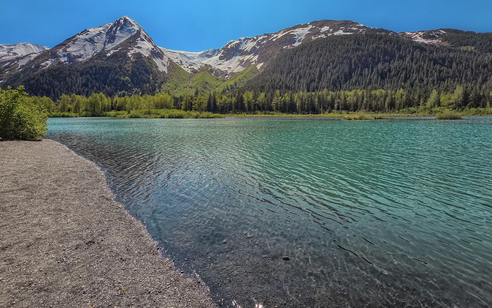 Trail of Blue Ice scenery photographed by the lodge owner