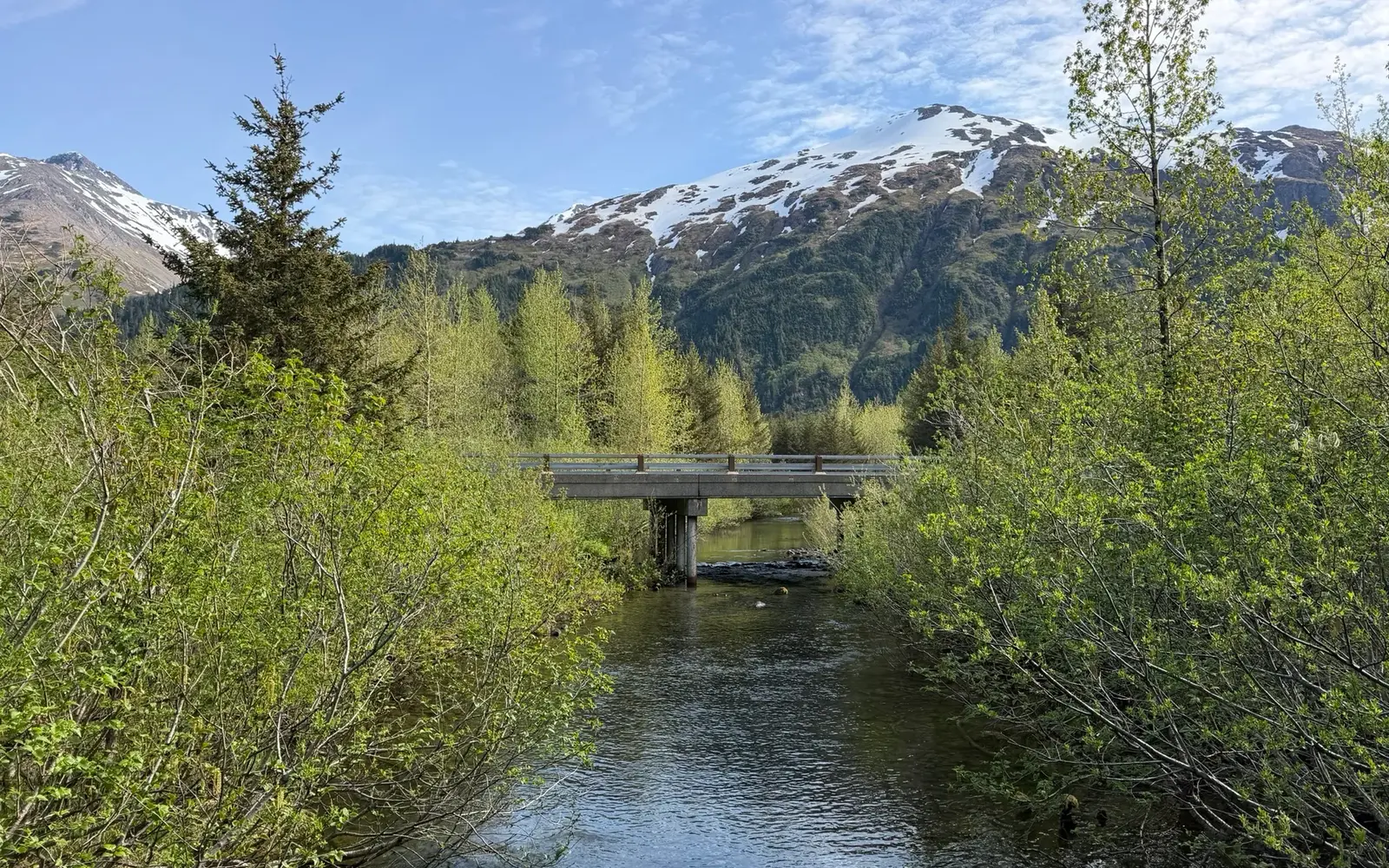 Bridge over a forest stream on Williwaw Nature Trail